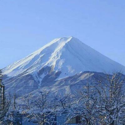 疯狂的迷宫游戏下载