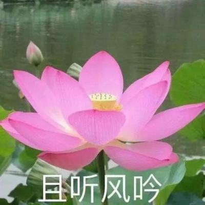 鬼畜大作战bt版下载勇者荣耀安卓测试服下载